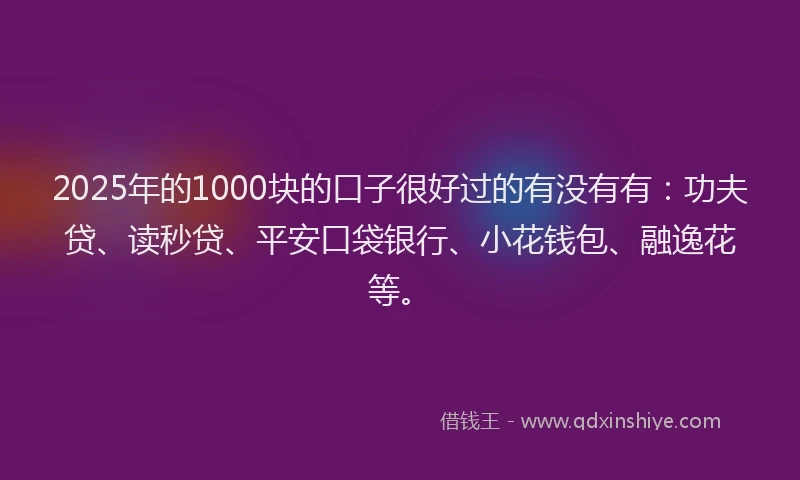 2025年的1000块的口子很好过的有没有有：功夫贷、读秒贷、平安口袋银行、小花钱包、融逸花等。