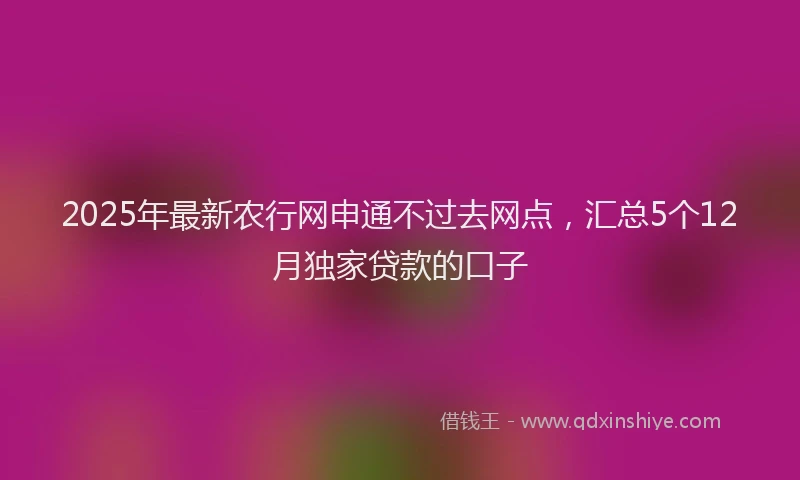 2025年最新农行网申通不过去网点，汇总5个12月独家贷款的口子