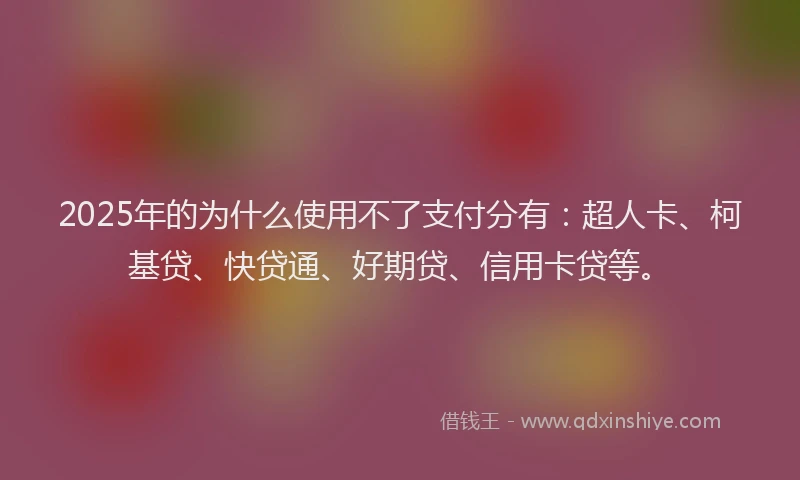 2025年的为什么使用不了支付分有：超人卡、柯基贷、快贷通、好期贷、信用卡贷等。