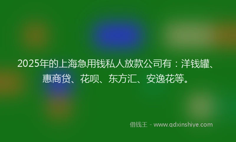 2025年的上海急用钱私人放款公司有：洋钱罐、惠商贷、花呗、东方汇、安逸花等。