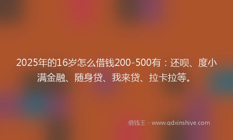 2025年的16岁怎么借钱200-500有：还呗、度小满金融、随身贷、我来贷、拉卡拉等。