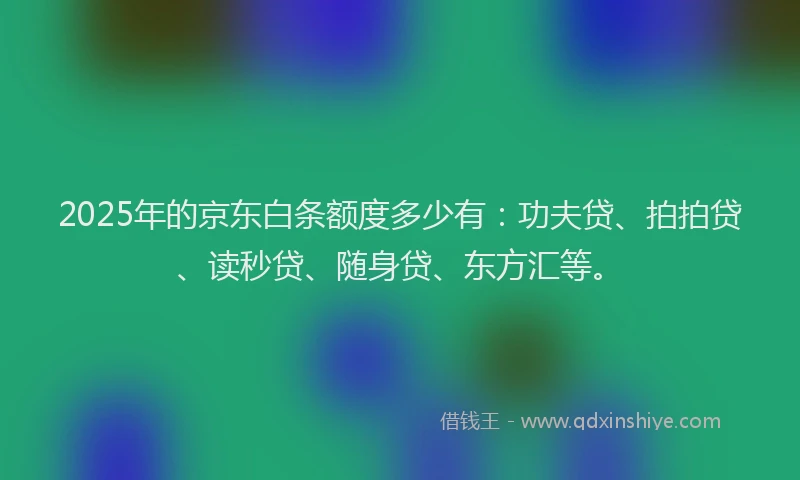 2025年的京东白条额度多少有：功夫贷、拍拍贷、读秒贷、随身贷、东方汇等。