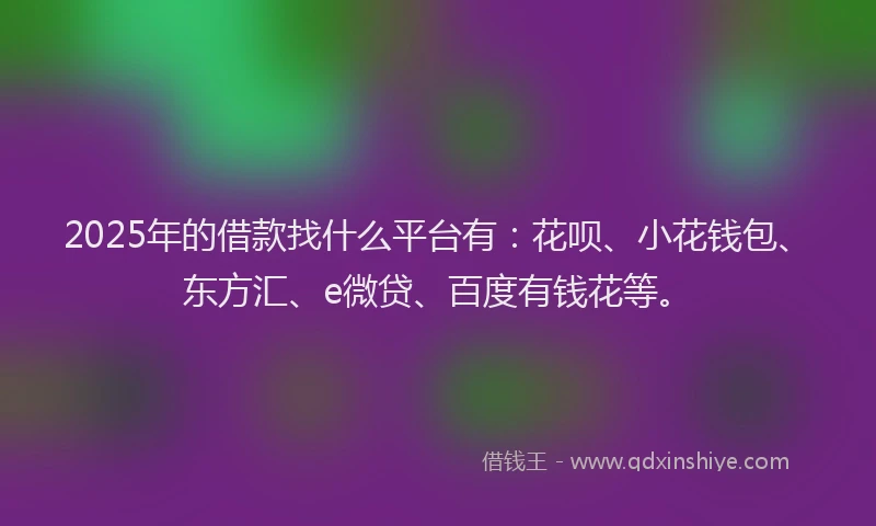 2025年的借款找什么平台有：花呗、小花钱包、东方汇、e微贷、百度有钱花等。