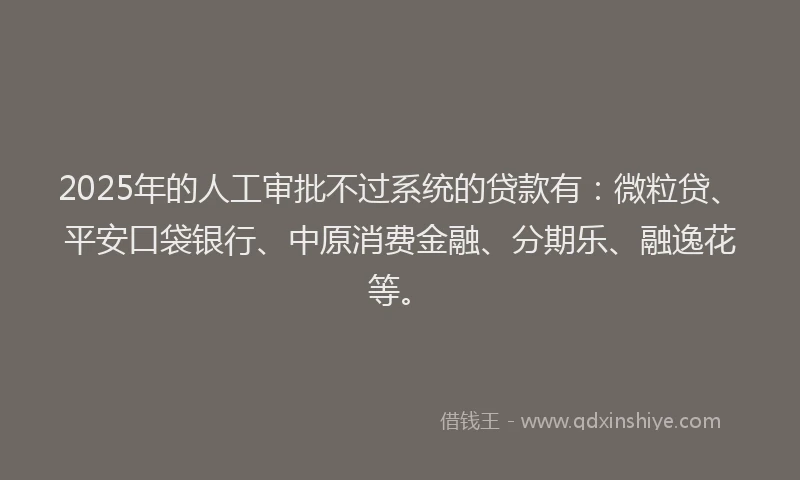 2025年的人工审批不过系统的贷款有：微粒贷、平安口袋银行、中原消费金融、分期乐、融逸花等。