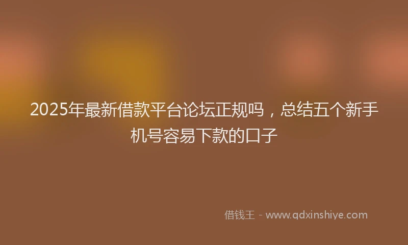 2025年最新借款平台论坛正规吗，总结五个新手机号容易下款的口子