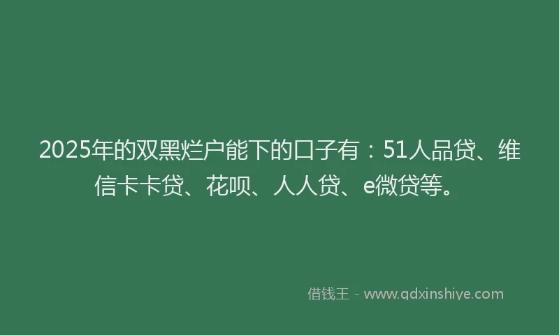 2025年的双黑烂户能下的口子有：51人品贷、维信卡卡贷、花呗、人人贷、e微贷等。