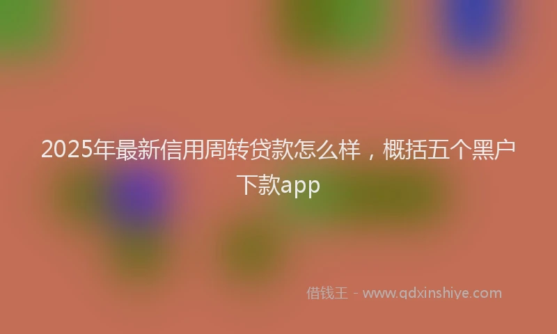 2025年最新信用周转贷款怎么样，概括五个黑户下款app