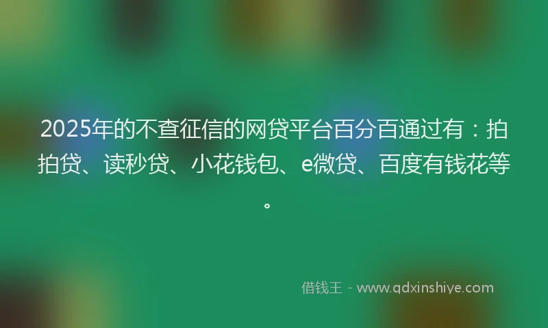 2025年的不查征信的网贷平台百分百通过有：拍拍贷、读秒贷、小花钱包、e微贷、百度有钱花等。