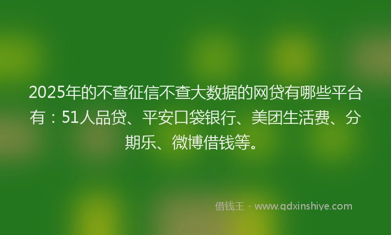 2025年的不查征信不查大数据的网贷有哪些平台有：51人品贷、平安口袋银行、美团生活费、分期乐、微博借钱等。