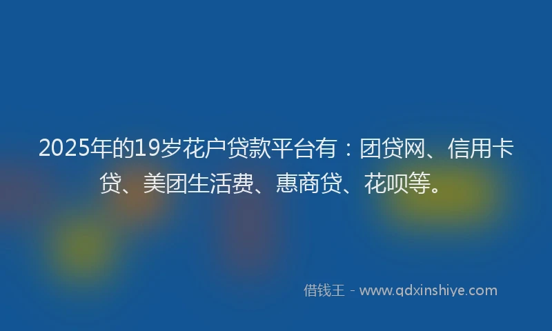2025年的19岁花户贷款平台有：团贷网、信用卡贷、美团生活费、惠商贷、花呗等。