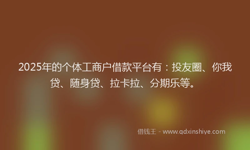 2025年的个体工商户借款平台有：投友圈、你我贷、随身贷、拉卡拉、分期乐等。