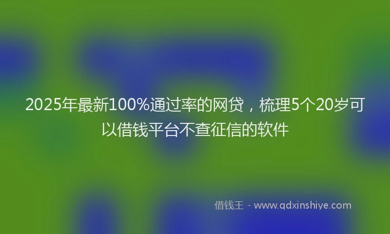 2025年最新100%通过率的网贷，梳理5个20岁可以借钱平台不查征信的软件