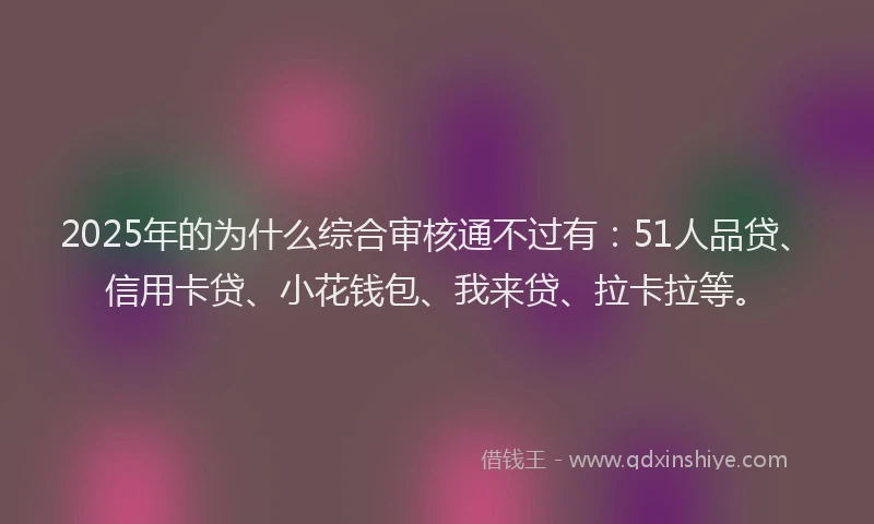 2025年的为什么综合审核通不过有：51人品贷、信用卡贷、小花钱包、我来贷、拉卡拉等。