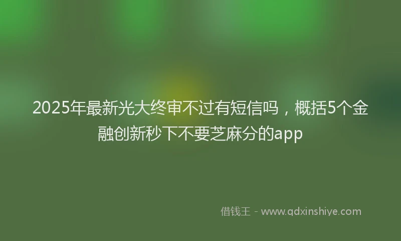 2025年最新光大终审不过有短信吗，概括5个金融创新秒下不要芝麻分的app