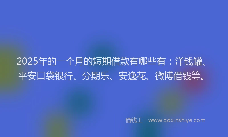 2025年的一个月的短期借款有哪些有：洋钱罐、平安口袋银行、分期乐、安逸花、微博借钱等。