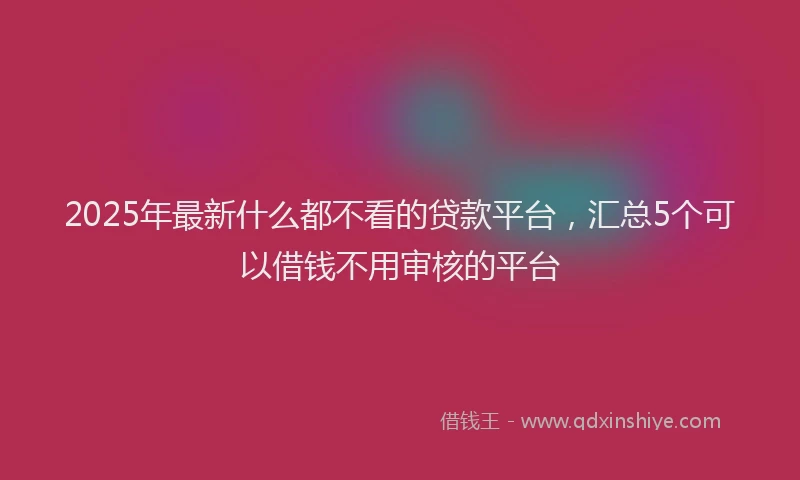 2025年最新什么都不看的贷款平台，汇总5个可以借钱不用审核的平台