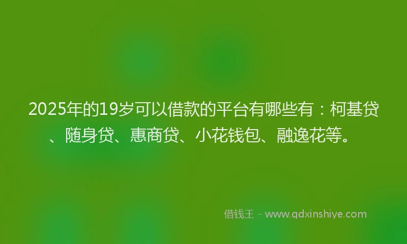 2025年的19岁可以借款的平台有哪些有：柯基贷、随身贷、惠商贷、小花钱包、融逸花等。
