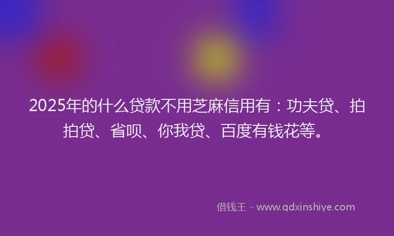 2025年的什么贷款不用芝麻信用有：功夫贷、拍拍贷、省呗、你我贷、百度有钱花等。