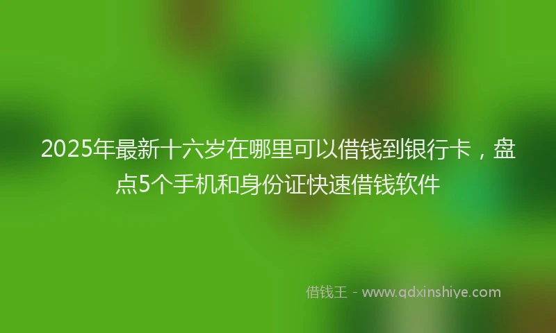 2025年最新十六岁在哪里可以借钱到银行卡，盘点5个手机和身份证快速借钱软件