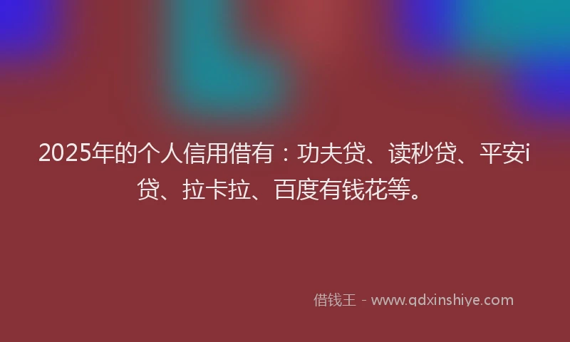 2025年的个人信用借有：功夫贷、读秒贷、平安i贷、拉卡拉、百度有钱花等。