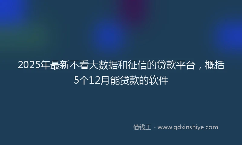 2025年最新不看大数据和征信的贷款平台，概括5个12月能贷款的软件