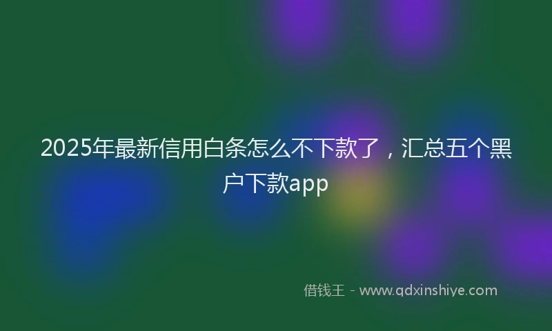 2025年最新信用白条怎么不下款了，汇总五个黑户下款app