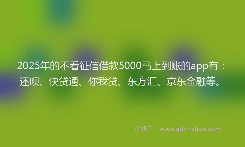 2025年的不看征信借款5000马上到账的app有：还呗、快贷通、你我贷、东方汇、京东金融等。