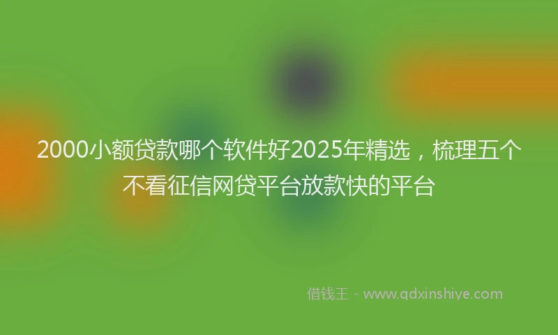2000小额贷款哪个软件好2025年精选，梳理五个不看征信网贷平台放款快的平台