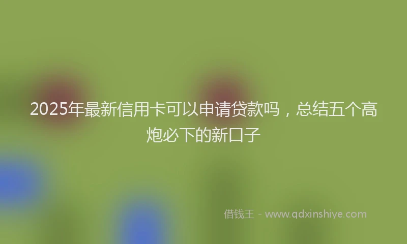 2025年最新信用卡可以申请贷款吗，总结五个高炮必下的新口子