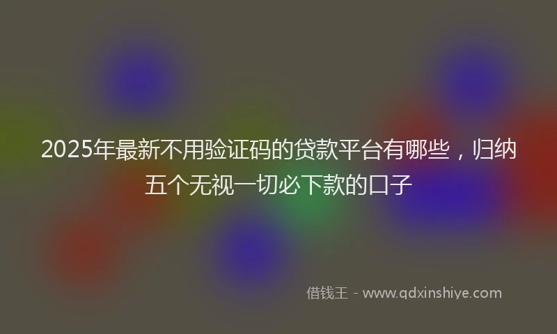 2025年最新不用验证码的贷款平台有哪些，归纳五个无视一切必下款的口子