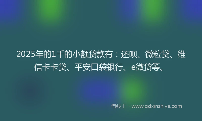 2025年的1千的小额贷款有：还呗、微粒贷、维信卡卡贷、平安口袋银行、e微贷等。