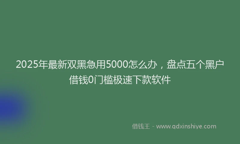 2025年最新双黑急用5000怎么办，盘点五个黑户借钱0门槛极速下款软件