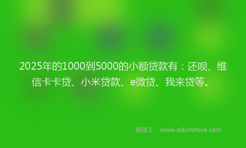 2025年的1000到5000的小额贷款有：还呗、维信卡卡贷、小米贷款、e微贷、我来贷等。