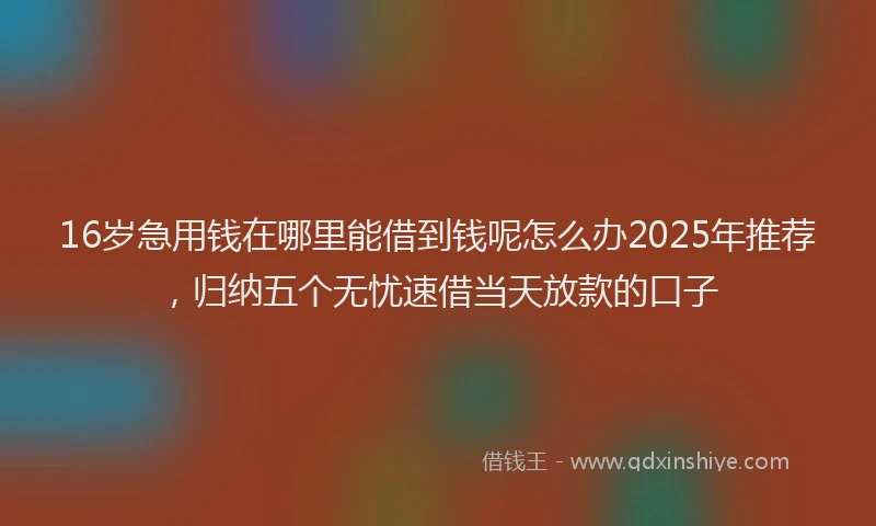 16岁急用钱在哪里能借到钱呢怎么办2025年推荐，归纳五个无忧速借当天放款的口子