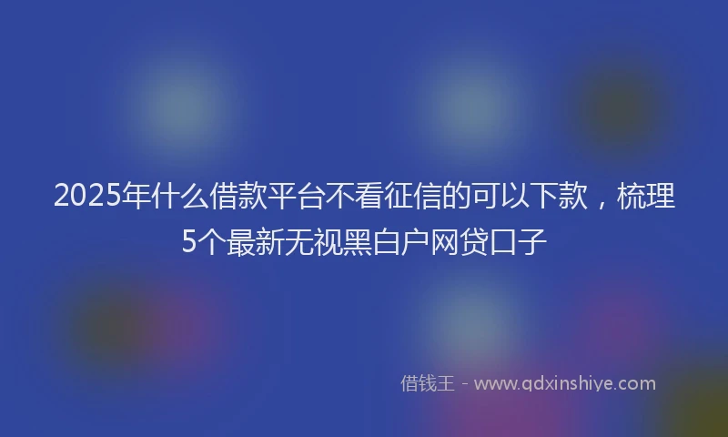 2025年什么借款平台不看征信的可以下款，梳理5个最新无视黑白户网贷口子
