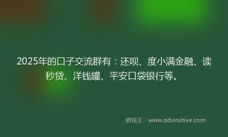 2025年的口子交流群有：还呗、度小满金融、读秒贷、洋钱罐、平安口袋银行等。