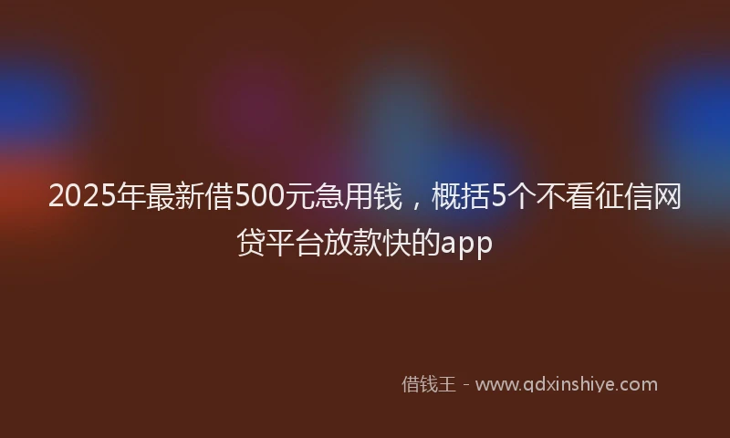 2025年最新借500元急用钱，概括5个不看征信网贷平台放款快的app