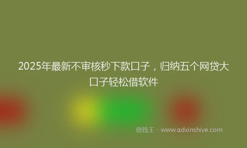 2025年最新不审核秒下款口子，归纳五个网贷大口子轻松借软件