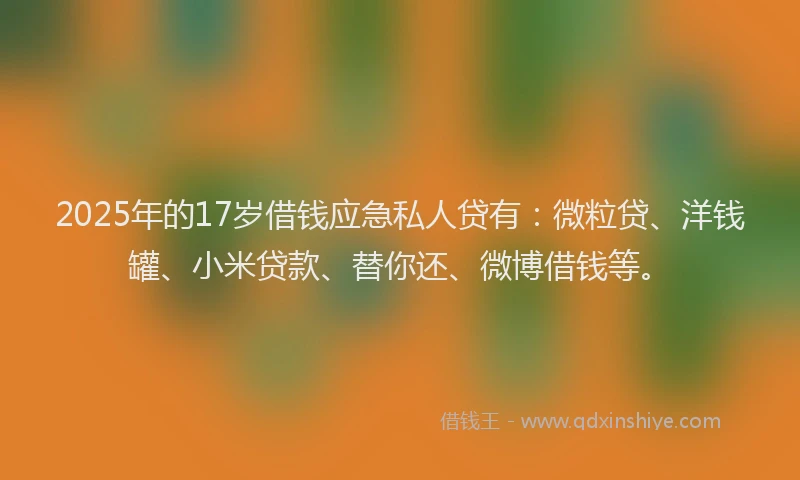 2025年的17岁借钱应急私人贷有：微粒贷、洋钱罐、小米贷款、替你还、微博借钱等。