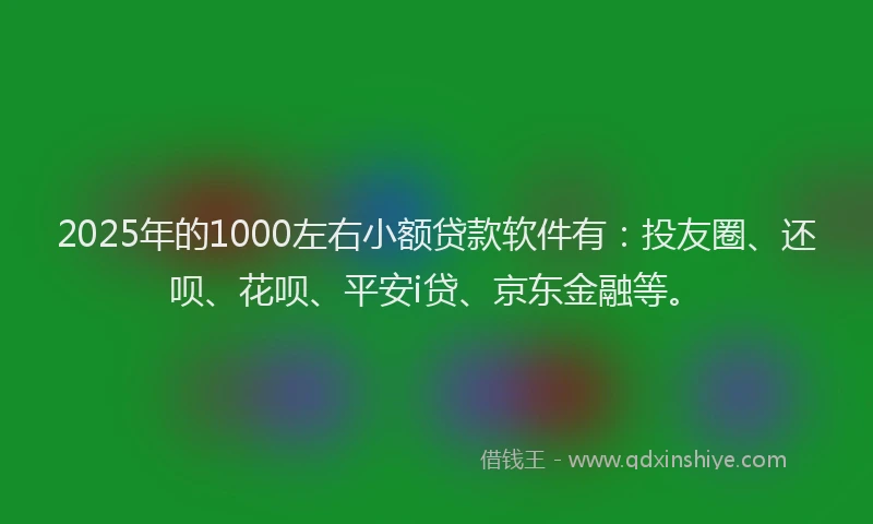 2025年的1000左右小额贷款软件有：投友圈、还呗、花呗、平安i贷、京东金融等。