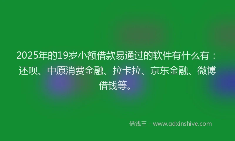 2025年的19岁小额借款易通过的软件有什么有：还呗、中原消费金融、拉卡拉、京东金融、微博借钱等。