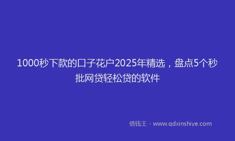 1000秒下款的口子花户2025年精选，盘点5个秒批网贷轻松贷的软件