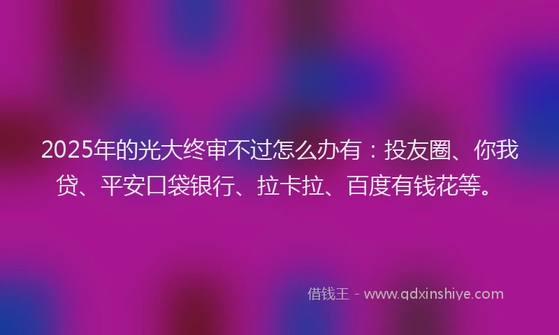 2025年的光大终审不过怎么办有：投友圈、你我贷、平安口袋银行、拉卡拉、百度有钱花等。
