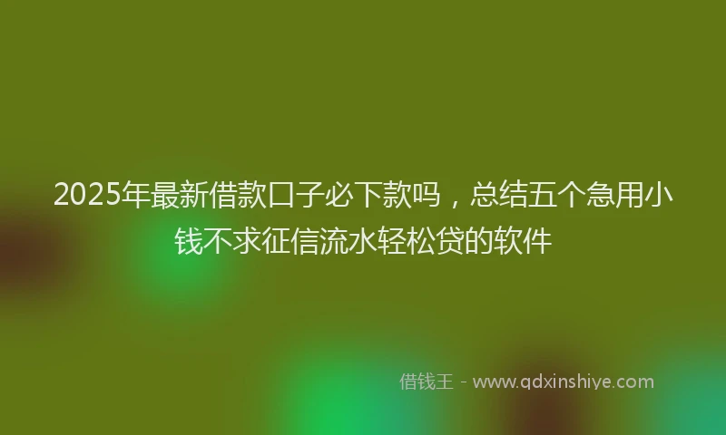 2025年最新借款口子必下款吗，总结五个急用小钱不求征信流水轻松贷的软件