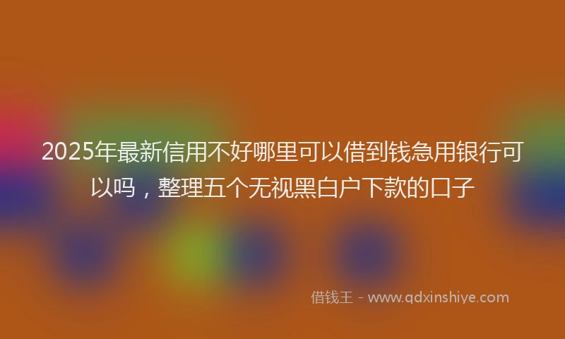 2025年最新信用不好哪里可以借到钱急用银行可以吗，整理五个无视黑白户下款的口子