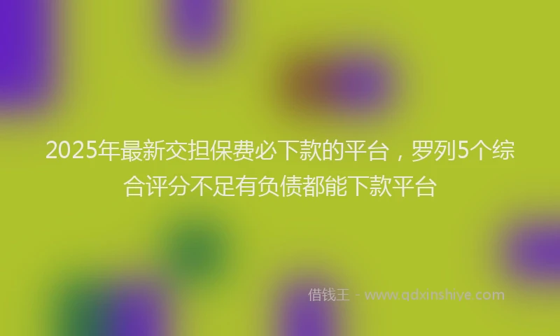 2025年最新交担保费必下款的平台，罗列5个综合评分不足有负债都能下款平台