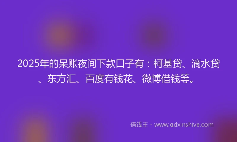 2025年的呆账夜间下款口子有：柯基贷、滴水贷、东方汇、百度有钱花、微博借钱等。
