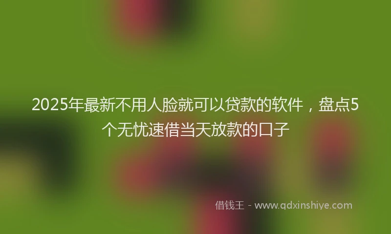 2025年最新不用人脸就可以贷款的软件，盘点5个无忧速借当天放款的口子