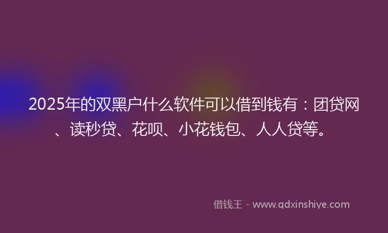 2025年的双黑户什么软件可以借到钱有：团贷网、读秒贷、花呗、小花钱包、人人贷等。