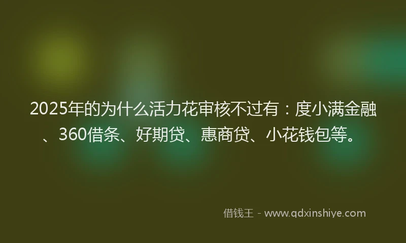 2025年的为什么活力花审核不过有：度小满金融、360借条、好期贷、惠商贷、小花钱包等。